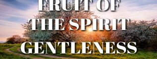 Fruit-of-the-Spirit-Gentleness