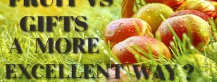 Fruit_vs_-Gifts-_a_more_excellent_way_