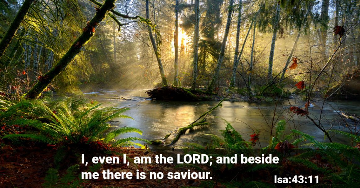 God is the only Saviour