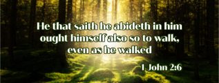 Seek-to-Develop-Christlikeness