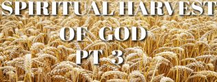 Spiritual-Harvest-of-God-Part-3-