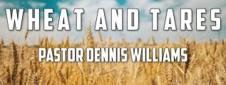 Wheat and Tares